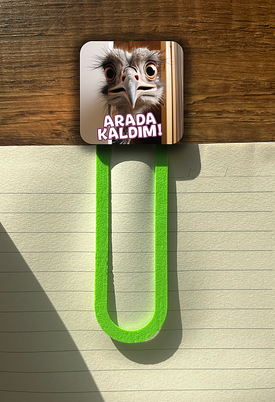 Arada Kaldım Kedi Kitap Ayracı - 1