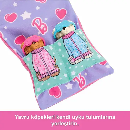 Barbie Barbie Ve Köpekçikleri Pijama Partisi Oyun Seti - 2