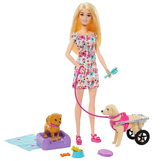 Barbie Engelli Köpeği Oyun Seti - 11