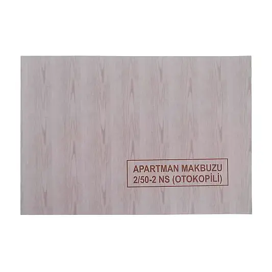 Dilman Apartman Makbuzu 50 Yaprak 2 Nüshalı - 4