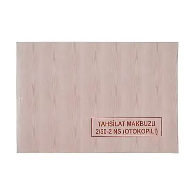 Dilman Tahsilat Makbuzu 2 Nüshalı - 3