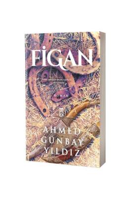 Figan - Timaş Yayınları (1)