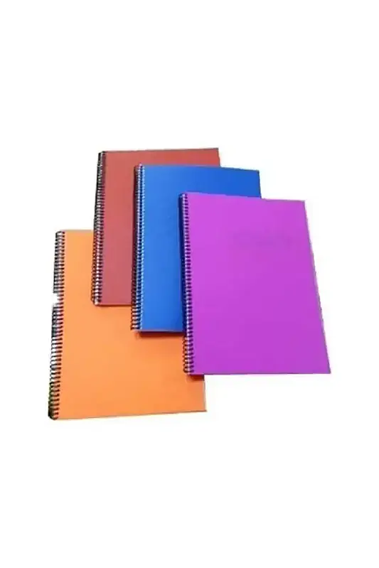 Gıpta Çizgili Defter 60 Yp A4 Plastik Kapak Spiralli - 2
