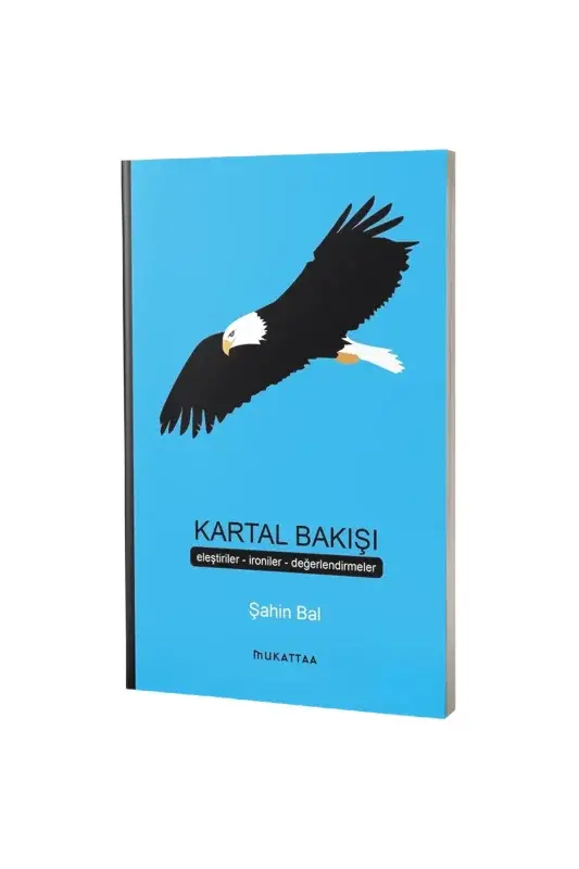 Kartal Bakışı - 2