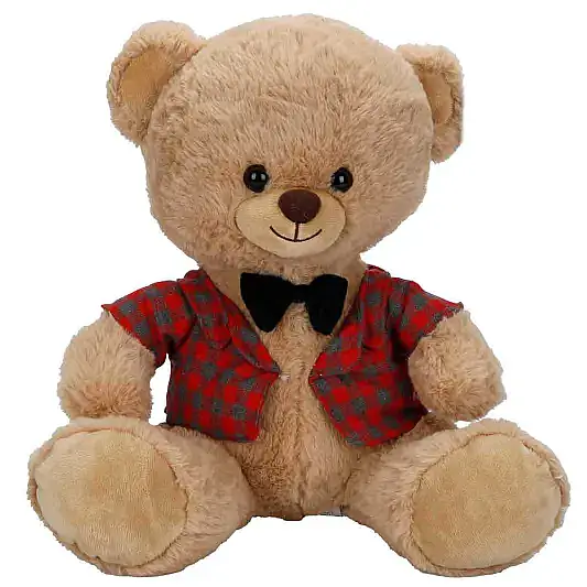 Kıyafetli Peluş Ayı 32 cm - 3
