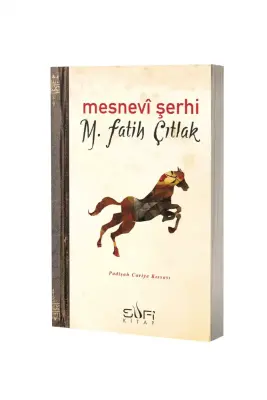 Mesnevi Şerhi - 1