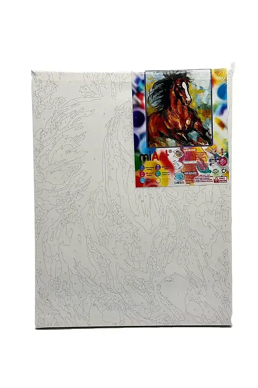 Miart Sayılarla Boyama Seti At 30 x 40 cm - 1