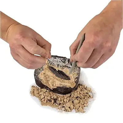 National Geographic Dino Kazı Kiti - 4