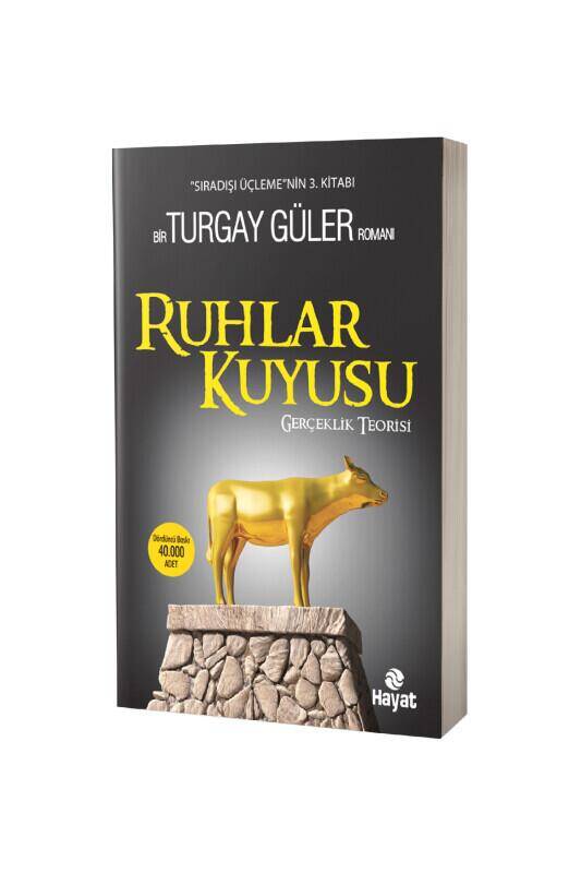Ruhlar Kuyusu Gerçeklik Teosrisi - 2