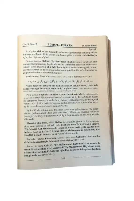 Ruhul Furkan Tefsiri 17. Cilt - Deri - 2