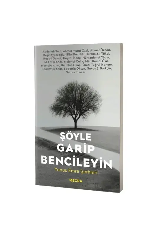 Şöyle Garip Bencileyin - 2
